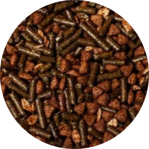 kelleys-golden-age-feed